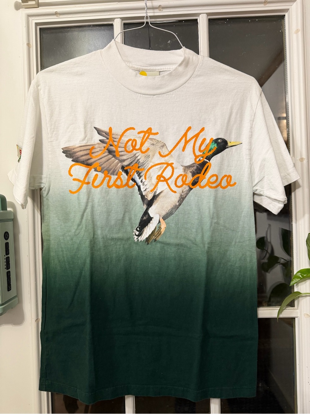 Not My First Rodeo Gradient Duck Tee - White & Green - Picture 1 of 4
